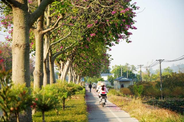 一路一花开，四季如诗“里”