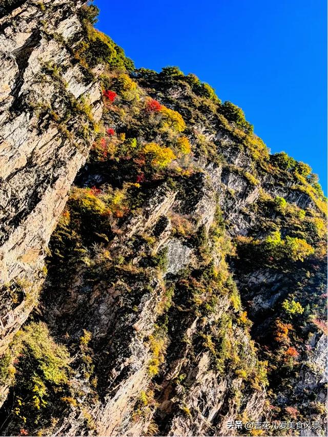 吉林长白山抚松秋韵~枫红映水伴云天