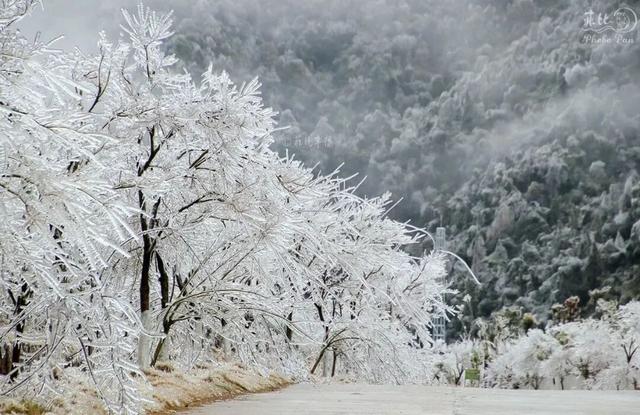 朋友圈C位预告！韶关雾凇限时上线，这片赏冰秘境地图等你来打卡