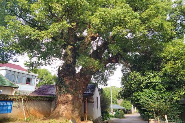 浙江宁波的幽静山村，因美女下凡洗澡而得名，湖光山色美不胜收