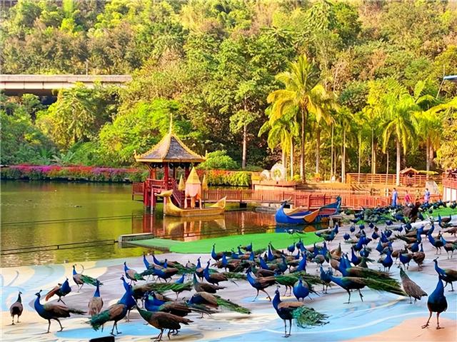 【寒假&春节】国内性价比高的旅游目的地推荐