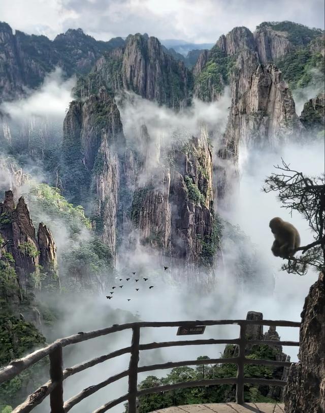 豆包测评出国内最值得去的十大景点，安徽黄山居榜首三峡无缘上榜