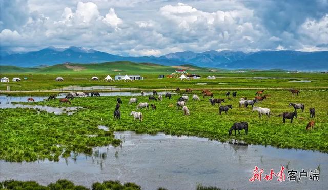 风吹马鬃动，这是高原最美的风景