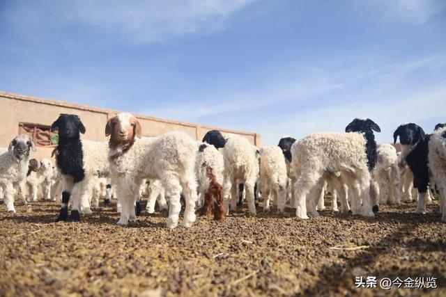 面积堪比海南却仅1万人！甘肃这座"废墟秘境"，美到让人不敢呼吸