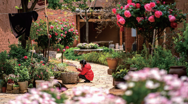 新新新新新新！滇池旅游黄金岸线的“含新量”在哪？一文读懂→