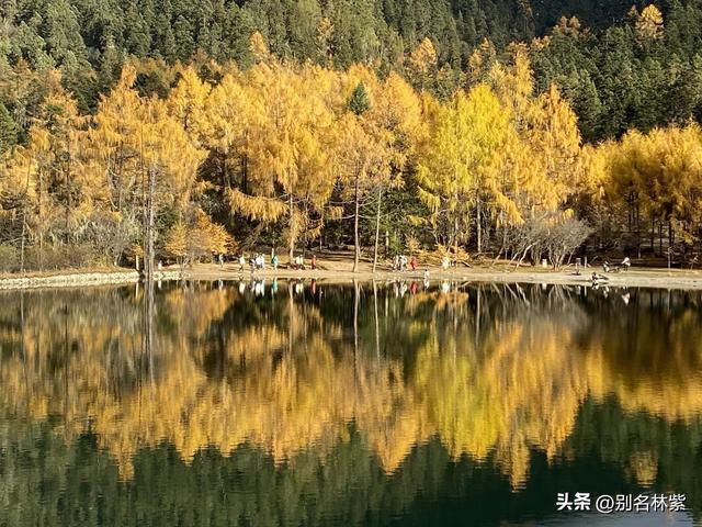 川西公共交通自由行，如何前往毕棚沟，吃住行游玩攻略，建议收藏