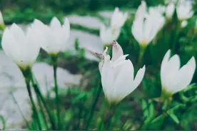 吃饭时有3个习惯的男人，多半人品不好，不管是谁都别深交图片