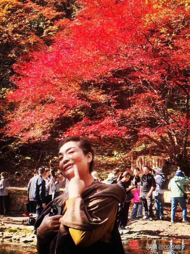 本溪关门山，枫叶之约
