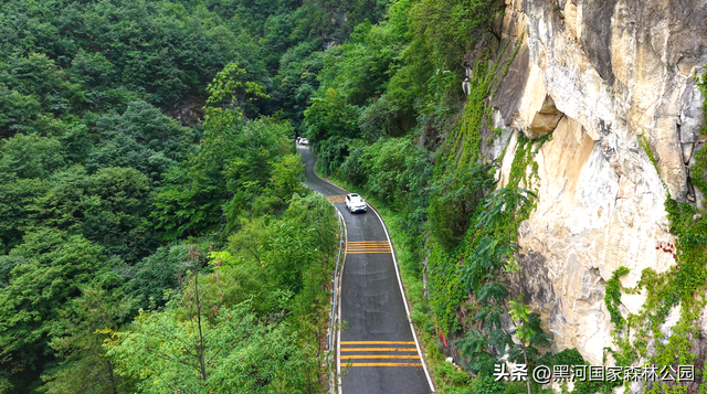 五一宝藏旅行地！2h直达秦岭天然森林氧吧