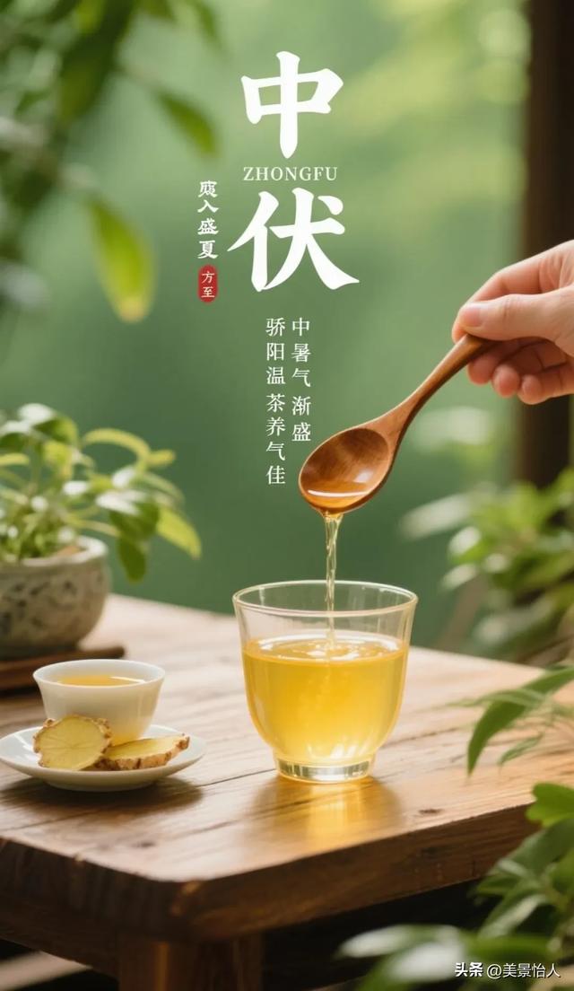 中伏安康！愿你在热浪里，藏得住清凉，守得住欢喜