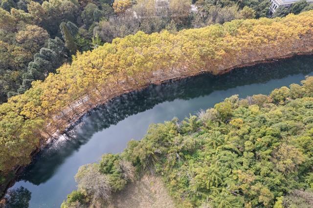 贵州私藏的5个秋色仙境，最后一个惊艳了千年时光！