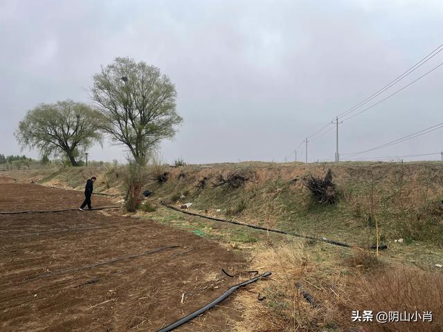 鄂尔多斯市达拉特旗田野考察笔记