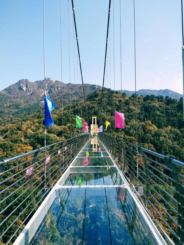 错峰出游 | 黄陂的秋天，才刚刚开始！