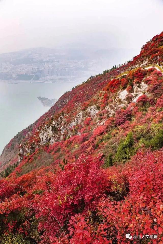 红叶节未至游客先旺，宜昌巫山联动释放“秋日红利”