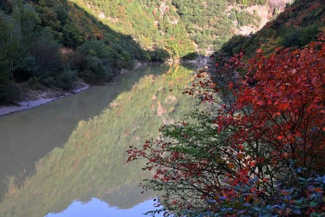 不到西坡，怎知秋色如许？