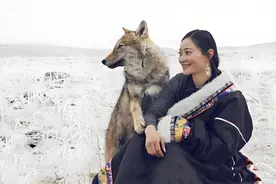 15年前把狼当儿子养的四川女孩，10年后与它相认，结局却无比唏嘘图片