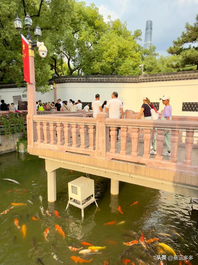 中秋逛豫园，月满人团圆