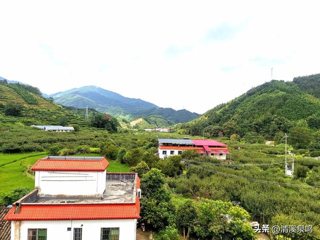 溪山环处的旧影与新绿共长——记柏树下村