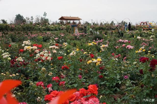 舒平，九仙山，和慢城之美