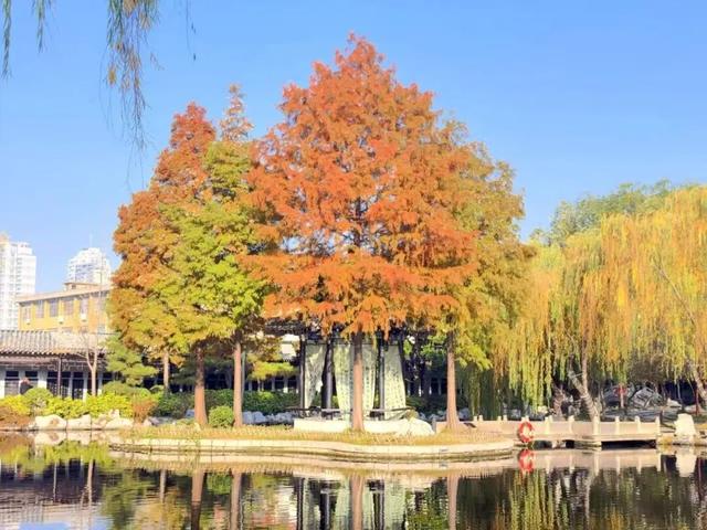 临沂冬日好去处！这8个室内宝地，颜值与温度并存！