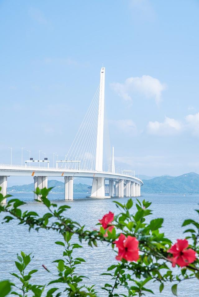 2025国内最受欢迎的50个旅行地，宜老宜少，你去过了几个？