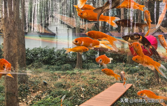 2026来“治愈徒步”，六大杭州西湖边景点，冬日免费游，真100%赞