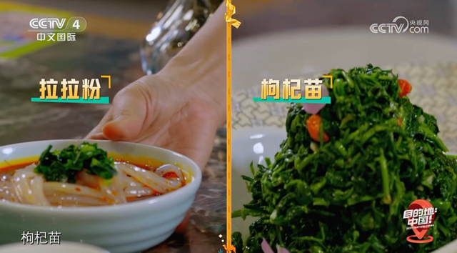 CCTV-4新片！目的地→银川🧳