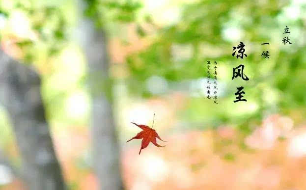 今年立秋“不一般”，有“三大”特点，与往年大不同！早看早准备