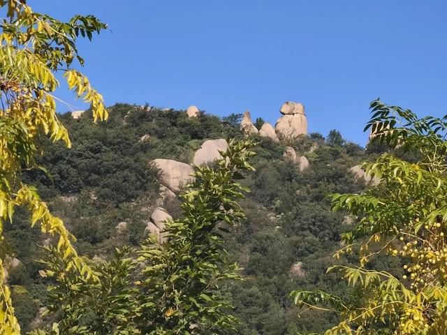 旅居伏牛山,过个22℃夏天!