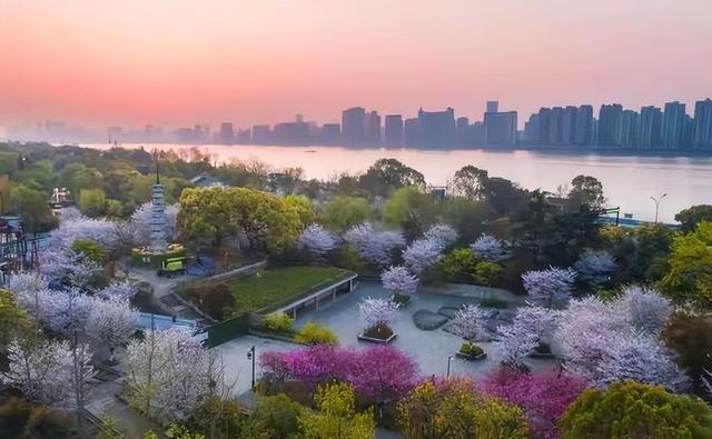 杭州惊现大批日本游客！不挤西湖不抢杭帮菜，真相竟藏在行李箱里