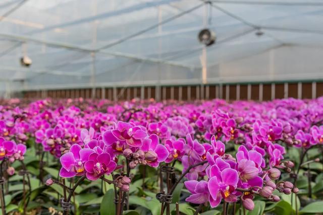 三条工业旅游线路,解锁韶关硬核外壳下的柔情往事~