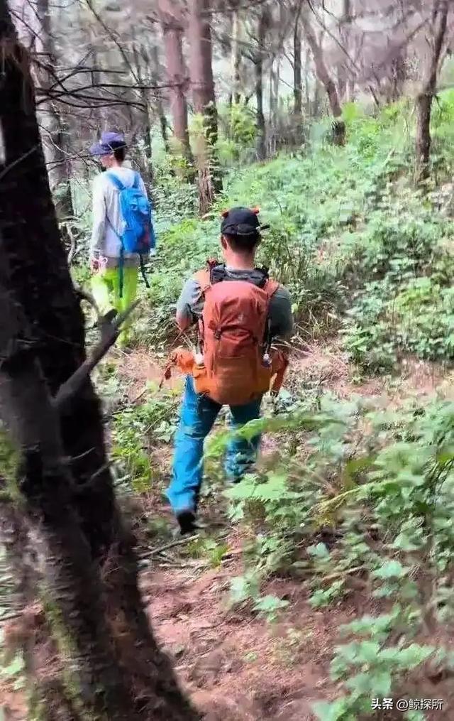 新进展！失联男童听到可乐奥利奥有反应，志愿者：怕孩子会躲起来
