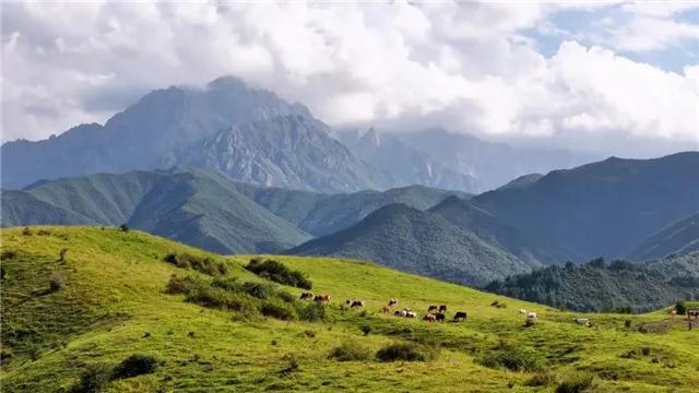 【线路产品】临夏州沿太子山旅游大通道自驾线路方案