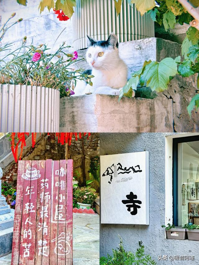 坡峰岭×药师寺:山林与禅意的完美周末