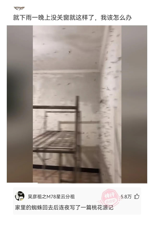 神回复：姐姐的腿不是腿，是塞纳河畔的春水。