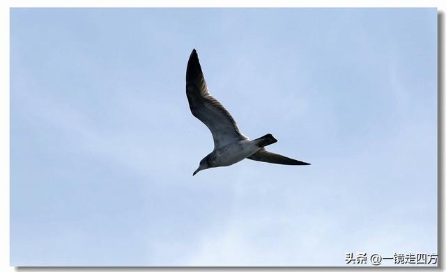 全长6800米的大连星海湾大桥气势恢宏