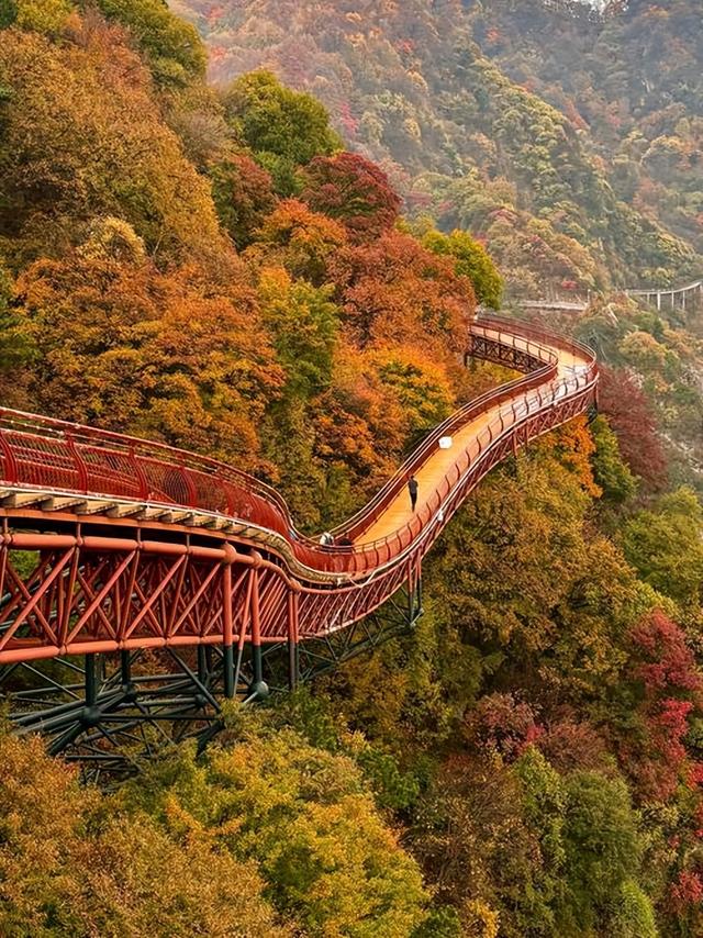 渭南十二时辰｜比西安野，比运城近！这座黄河边的硬核城藏不住了