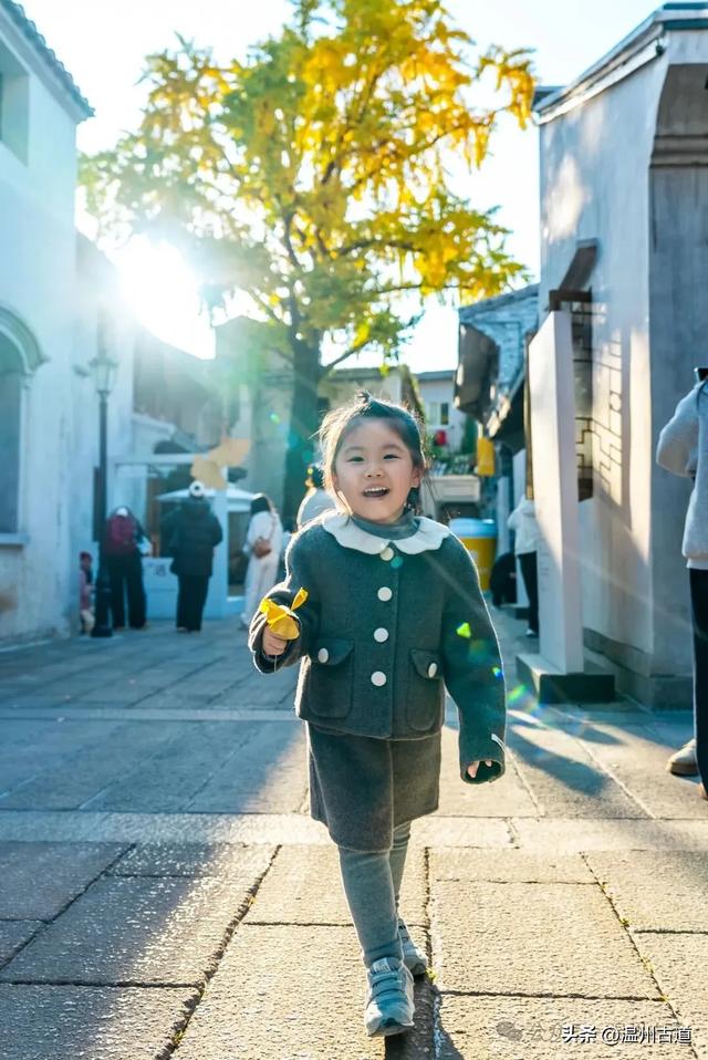 温州这棵深藏在百年民居的古银杏已经黄啦!夜晚比白天还要更迷人