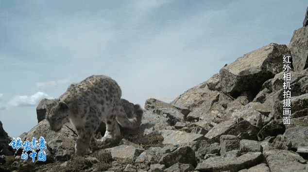 骑马踏雪、温泉煮云，这里的冬天比你想象的更热烈