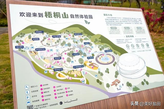 二刷、三刷……遛娃党解锁恩上湿地新玩法！