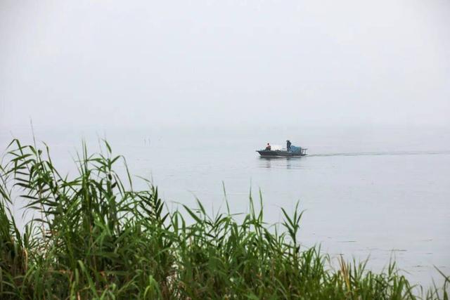 望亭：一川烟雨，一脉尘缘