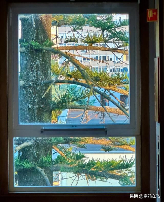 西葡游（十一）住在皇宫……酒店