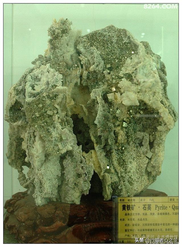 山东行游影记（31）—平邑天宇自然博物馆（六）