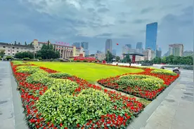 “新高考”适应性演练今日模拟填报志愿，有何策略？图片