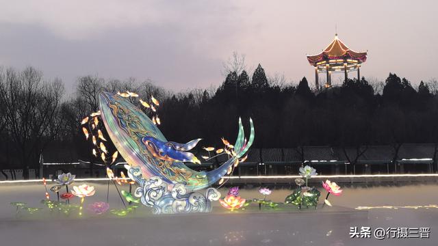 舜德花海新春嘉年华邀您共赏