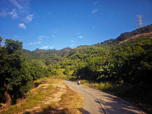 从丽康路穿荔园溪谷至西丽湖绿道骑行随拍