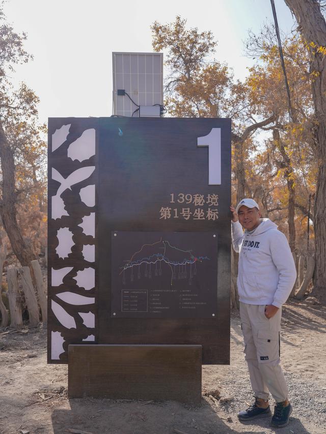 新疆沙雅｜自驾139胡杨秘境公路，一路驶进金色童话世界