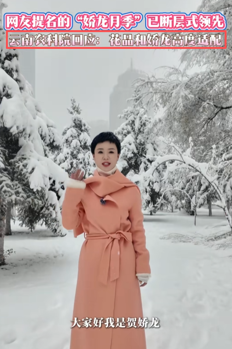 贺娇龙去世仅8天，令人担心的事还是发生了，于适	、吴京受牵连