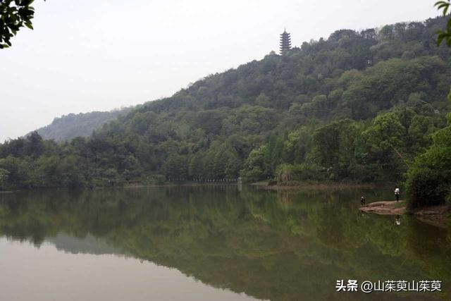 2023年春重庆探亲记（三）