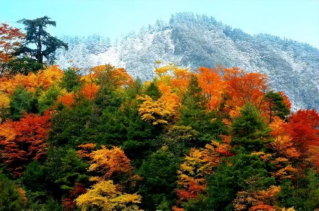 跟着川超游广元 | 致阿绵：赏秋正当时，你我皆风景！